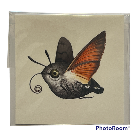 Hummingbird Hawk Moth- Mike Mitchell